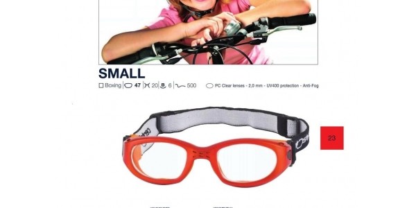 centrostyle- (1)